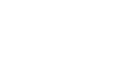 Hamilton Insurance Partners White Logo